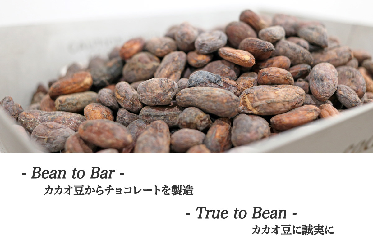 Bean to Bar チョコレートの製法